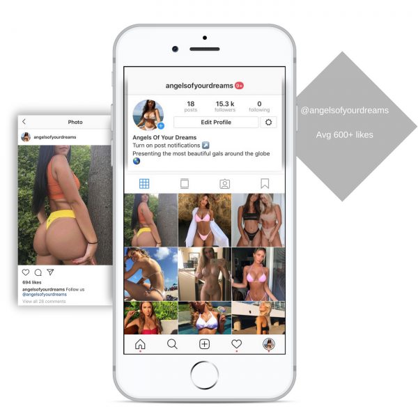 Instagram account for sale model niche