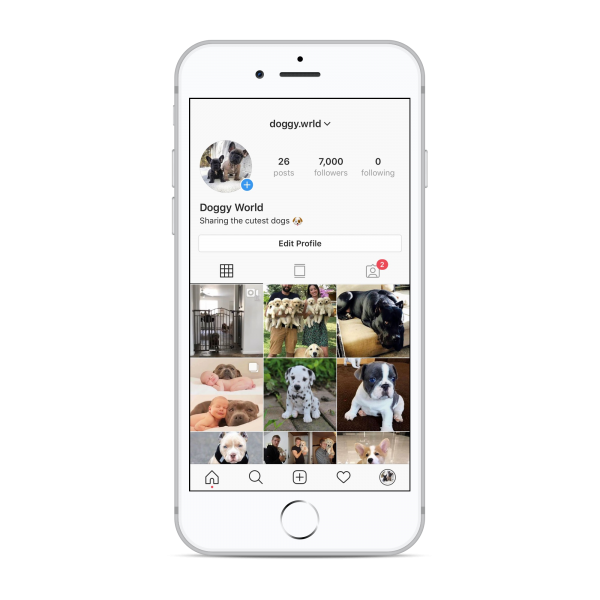 7k Dogs Instagram account